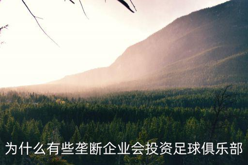 為什么有些壟斷企業會投資足球俱樂部