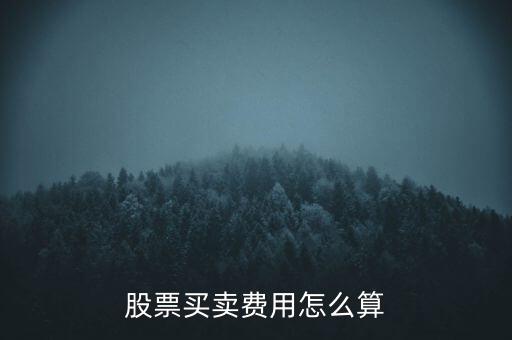 股票買入手續費怎么算,股票買賣費用怎么算