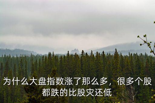 為什么大盤指數漲了那么多，很多個股都跌的比股災還低