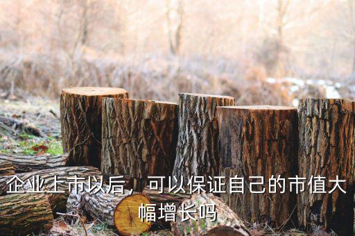 企業上市以后，可以保證自己的市值大幅增長嗎