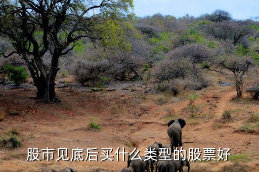 過年買什么股票,春節是空倉過年還是持股過年