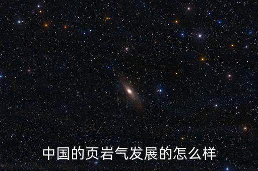 中國的頁巖氣發展的怎么樣