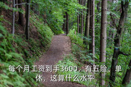 每個(gè)月工資到手3600，有五險(xiǎn)、單休，這算什么水平