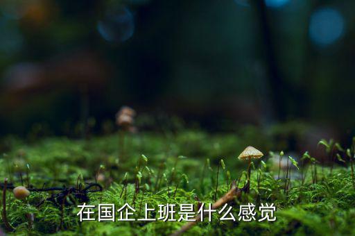 國企科員是什么,公務員和國企員工有什么區別