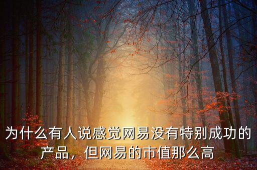 網易市值多少,但網易的市值那么高