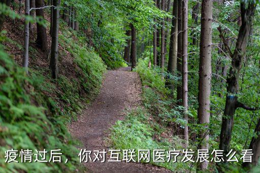疫情過后，你對互聯網醫療發展怎么看