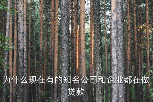 為什么大企業都要貸款,而大企業可以無限貸