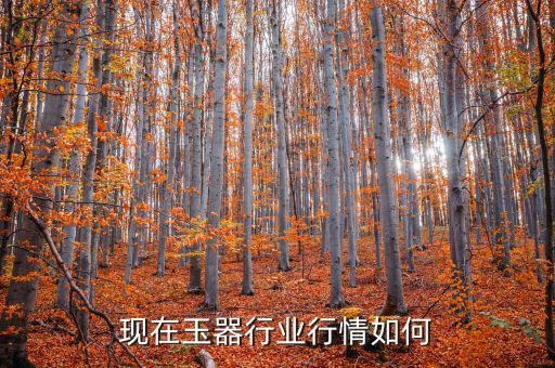玉器行情什么時候好轉,現在玉器行業行情如何