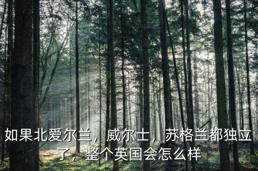 蘇格蘭經濟怎么樣,蘇格蘭都獨立了
