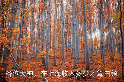 各位大神，在上海收入多少才算白領