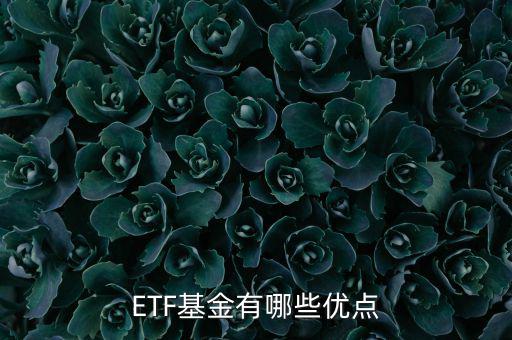 國亞基金怎么樣,ETF基金有哪些優點