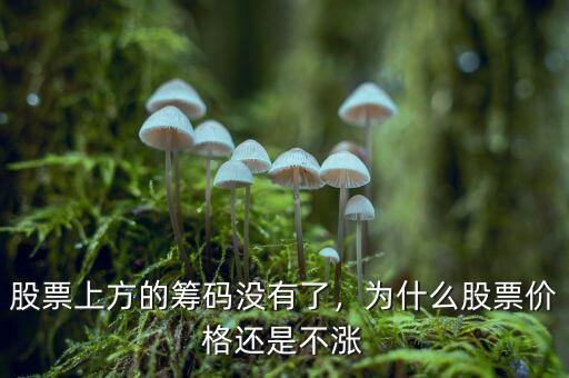 紙業股票為什么不漲,為什么有的股票業績很好