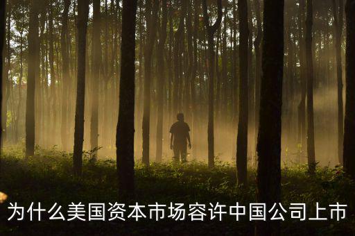 中國企業為什么在美國上市,中國企業為什么要在美國退市
