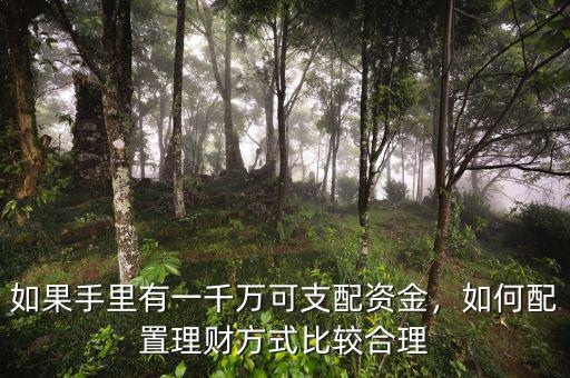 一千萬怎么理財,該怎么理財規劃這筆錢呢