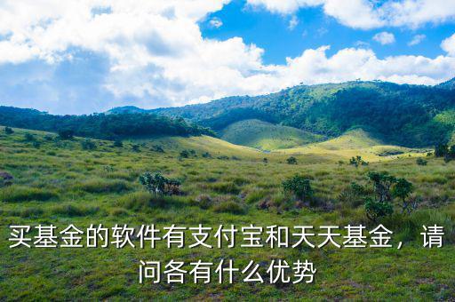 買基金的軟件有支付寶和天天基金，請問各有什么優勢
