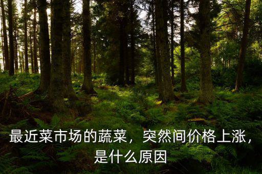 最近菜市場的蔬菜，突然間價格上漲，是什么原因