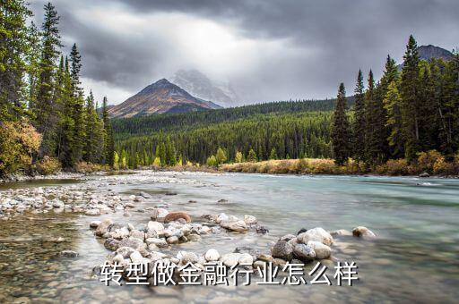 金融編輯怎么樣,一家黨媒網站編輯