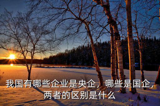 什么是地方國有企業,我國有哪些企業是央企