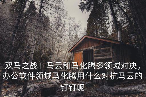 雙馬之戰！馬云和馬化騰多領域對決，辦公軟件領域馬化騰用什么對抗馬云的釘釘呢