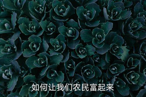 農民什么時候能富起來,農民富起來的標準是什么
