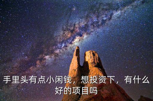 手里頭有點小閑錢，想投資下，有什么好的項目嗎