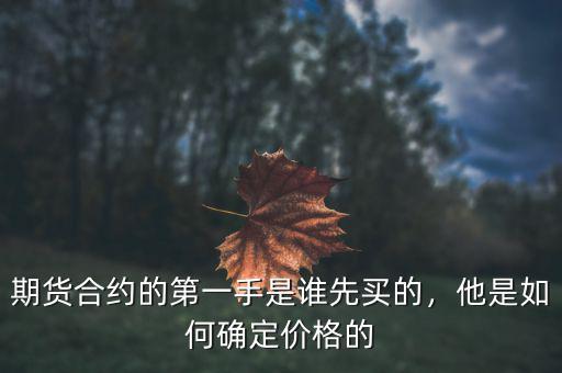 期貨合約的第一手是誰先買的，他是如何確定價格的