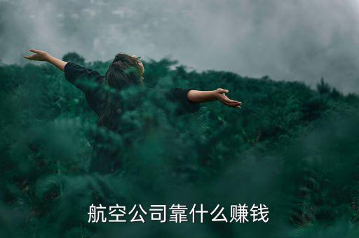 ota靠什么賺錢(qián),航空公司靠什么賺錢(qián)