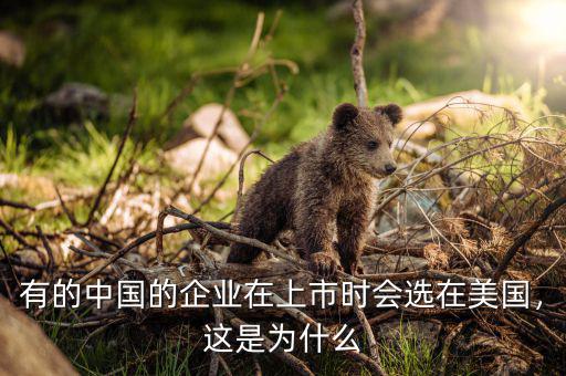 有的中國的企業在上市時會選在美國，這是為什么