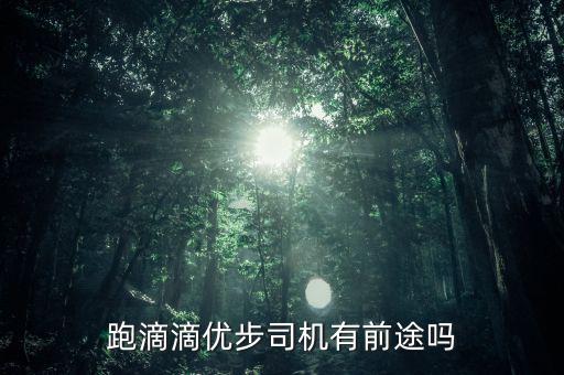 跑滴滴優步司機有前途嗎