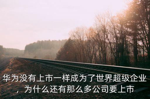華為沒有上市一樣成為了世界超級企業，為什么還有那么多公司要上市