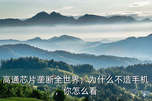 高通芯片壟斷全世界，為什么不造手機，你怎么看