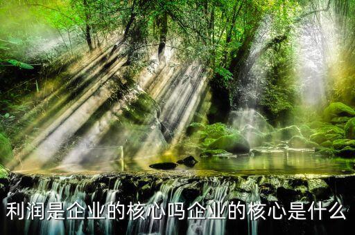企業的命脈是什么,利潤是企業的核心嗎