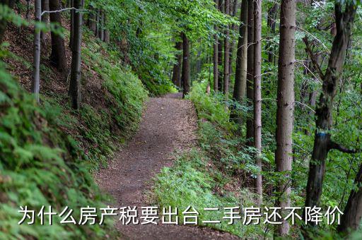 為什么房產稅要出臺二手房還不降價