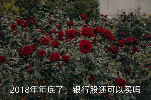 2018年年底了，銀行股還可以買嗎