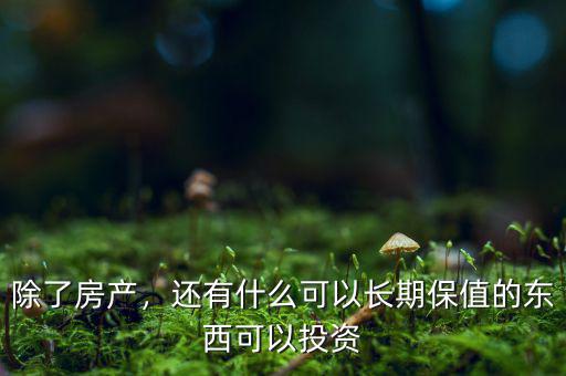 除了房產(chǎn)，還有什么可以長(zhǎng)期保值的東西可以投資
