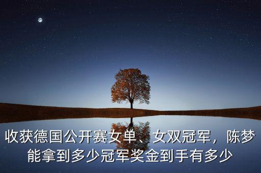 中網女單冠軍獎金多少,冠軍竟能獲百萬獎金
