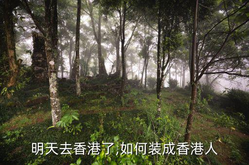 內地人怎么可以成香港人,如何裝成香港人