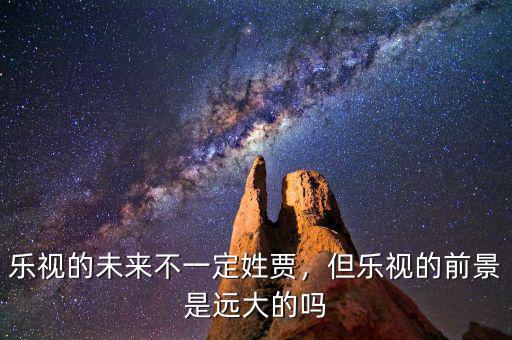 樂視怎么發展起來的,樂視的未來何在