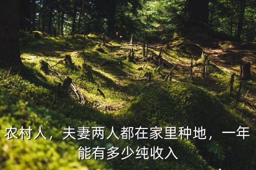 一市畝地一年能打多少大豆,種多少畝土地能發家致富