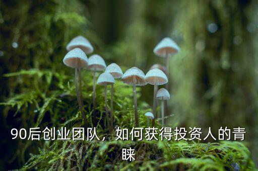 90后創業團隊，如何獲得投資人的青睞