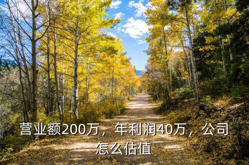 營業(yè)額200萬，年利潤40萬，公司怎么估值