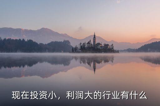 現在投資小，利潤大的行業有什么