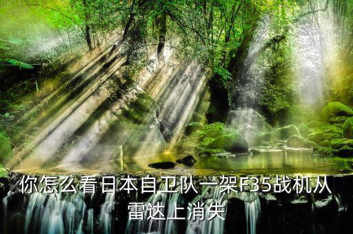 從技術上飛機怎么能在雷達上消失,35戰機從雷達上消失