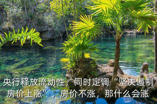 央行釋放流動性，同時定調“堅決遏制房價上漲”，房價不漲，那什么會漲