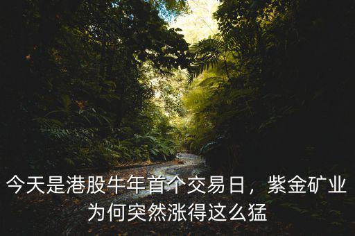 今天是港股牛年首個交易日，紫金礦業為何突然漲得這么猛