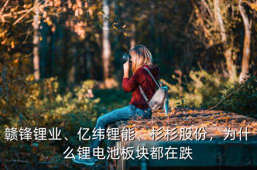 贛鋒鋰業(yè)、億緯鋰能、杉杉股份，為什么鋰電池板塊都在跌