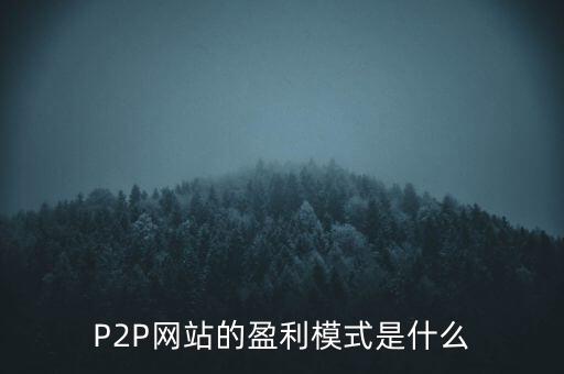 P2P網站的盈利模式是什么