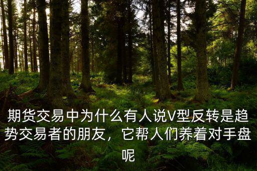 期貨交易中為什么有人說V型反轉是趨勢交易者的朋友，它幫人們養著對手盤呢
