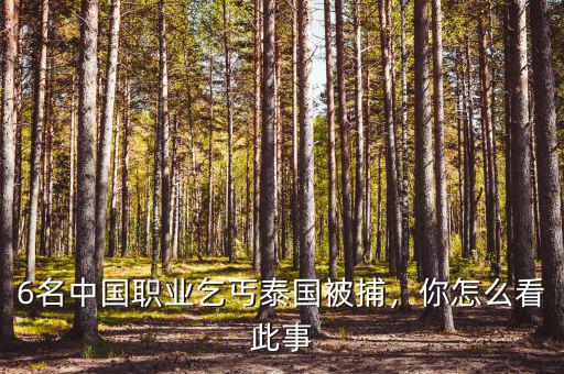 6名中國職業乞丐泰國被捕，你怎么看此事