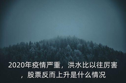 2020年疫情嚴(yán)重，洪水比以往厲害，股票反而上升是什么情況